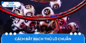 Hướng Dẫn Cách Bắt Bạch Thủ Lô Chuẩn Hiệu Quả Cho Tay Mơ