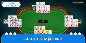 Cách Chơi Mậu Binh Và Mẹo Thắng Hiệu Quả Cho Người Mới