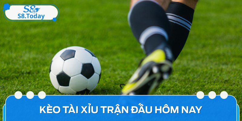 Phân Tích Kèo Tài Xỉu Trận Đấu Hôm Nay Chi Tiết Và Chính Xác