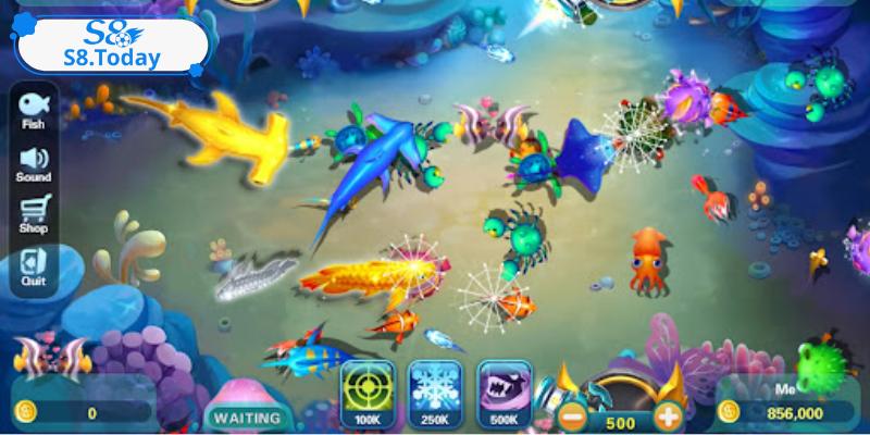 Tận dụng thời điểm cá mới xuất hiện được coi là cách bắn cá to dễ chết nhất